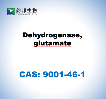 CAS 9001-46-1 Dehidrogenase, glutamat