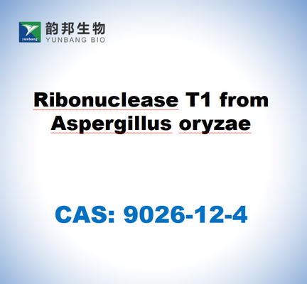 CAS 9026-12-4 Ribonuklease T1 dari Aspergillus oryzae