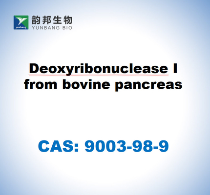 CAS 9003-98-9 Deoksiribonuklease I dari pankreas sapi