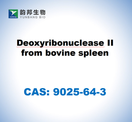 CAS 9025-64-3 Deoksiribonuklease II dari limpa sapi