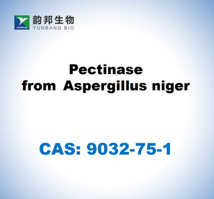 CAS 9032-75-1 Pektinase dari Aspergillus niger