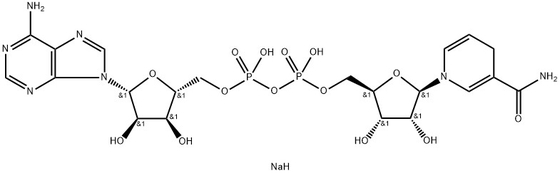 CAS 606-68-8 NADH, Disodium, Β-Nicotinamide Adenine Dinucleotide, Hidrat Garam Disodium yang Dikurangi