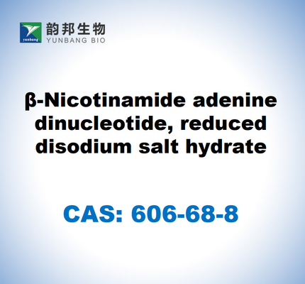 CAS 606-68-8 NADH, Disodium, Β-Nicotinamide Adenine Dinucleotide, Hidrat Garam Disodium yang Dikurangi