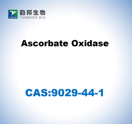 CAS 9029-44-1 Ascorbate Oxidase
