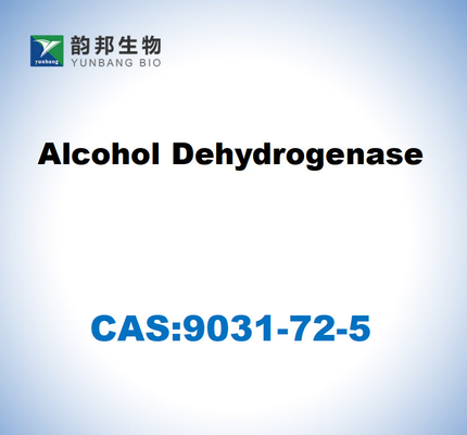 CAS 9031-72-5 Alkohol Dehidrogenase