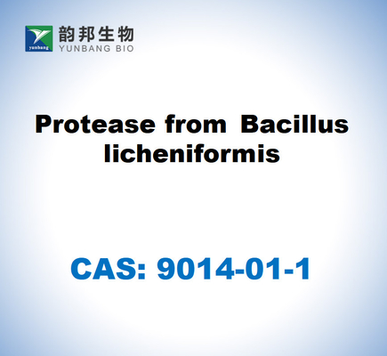 CAS 9014-01-1 Protease dari Bacillus Licheniformis