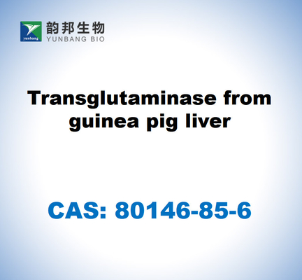 CAS 80146-85-6 Transglutaminase dari hati babi guinea