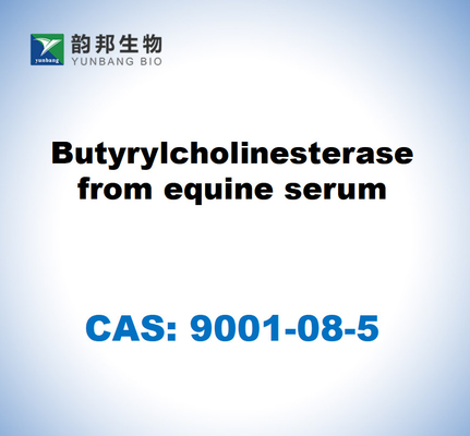 CAS 9001-08-5 Butyrylcholinesterase dari serum kuda