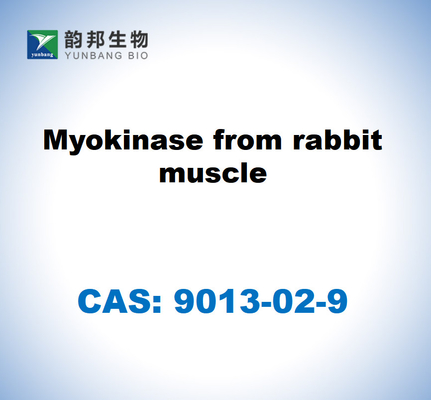 CAS 9013-02-9 Myokinase dari otot kelinci