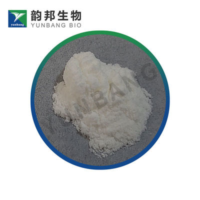 CAS9012-36-6 Reagen biokimia agarosa untuk laboratorium