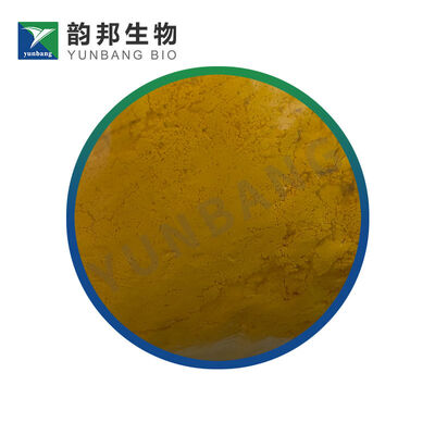 Produsen reagen biologis Riboflavin CAS 83-88-5