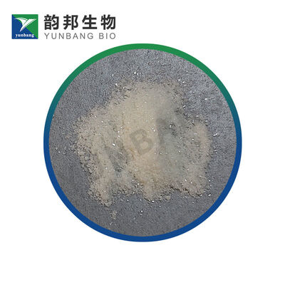 CAS525-79-1-Kinetin reagen biokimia untuk laboratorium