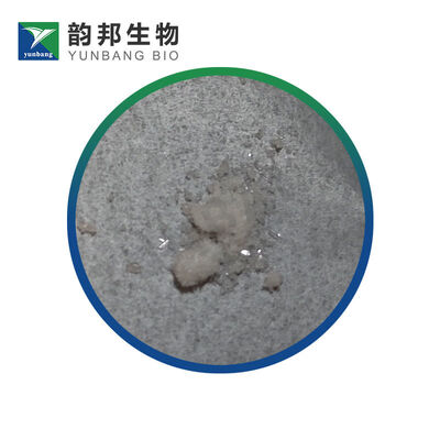 CAS 93-99-2 Fenil benzoat reagen biokimia untuk laboratorium