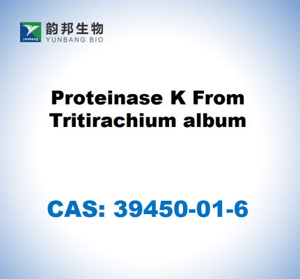 CAS 39450-01-6 Proteinase K dari album Tritirachium