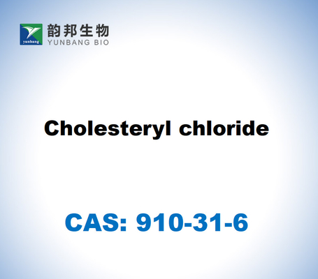 CAS 910-31-6 Kolesteril klorida